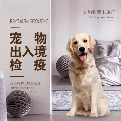 运城市宠物托运到哥伦比亚猫狗宠物入境规定和