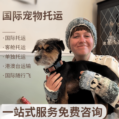 运城市国际宠物托运到阿根廷宠物入境规定和要