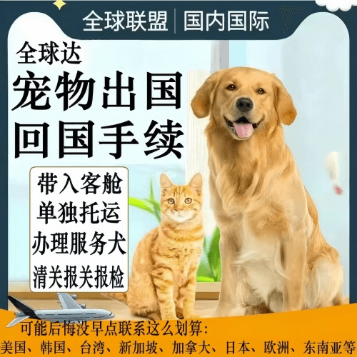 运城市宠物托运到柬埔寨宠物入境规定和要求