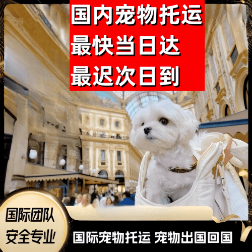 运城市到澳大利亚（澳洲）宠物入境规定和要求
