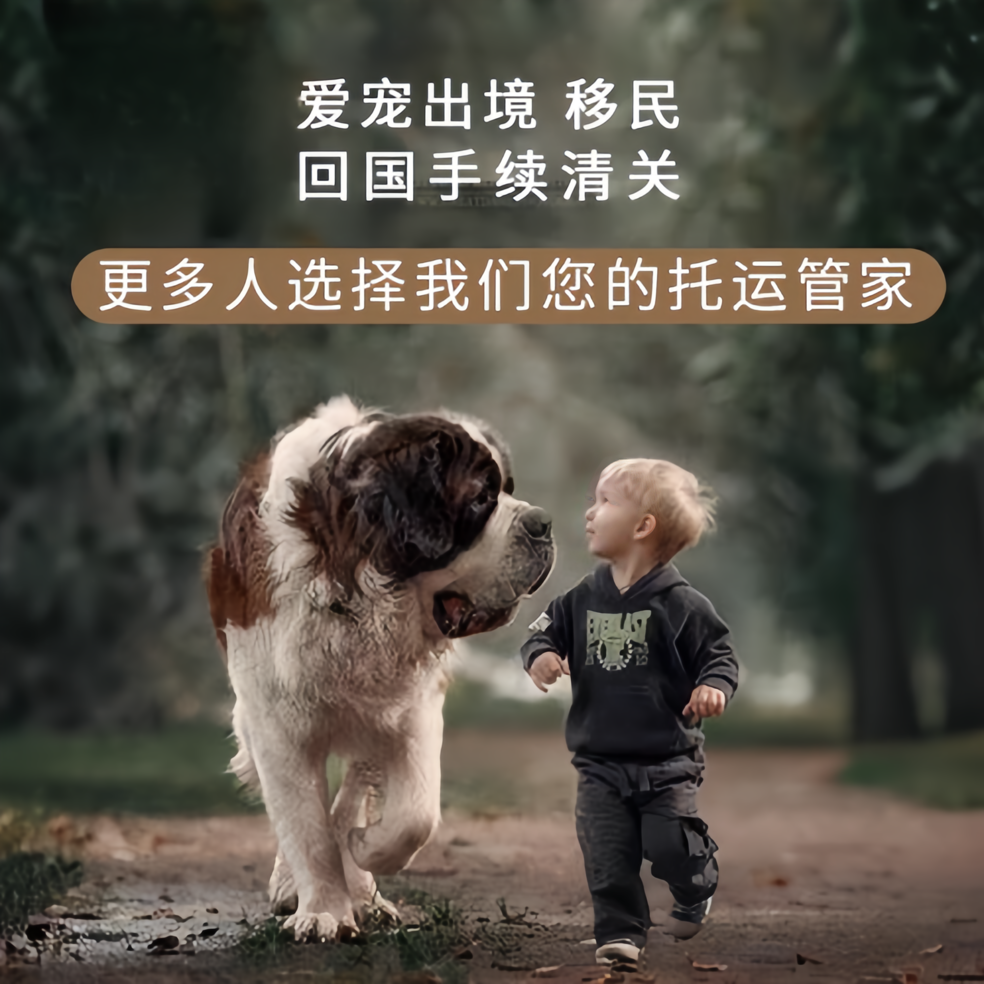 满财运城市宠物全球达宠物托运在遵守入境目的地政策的条件