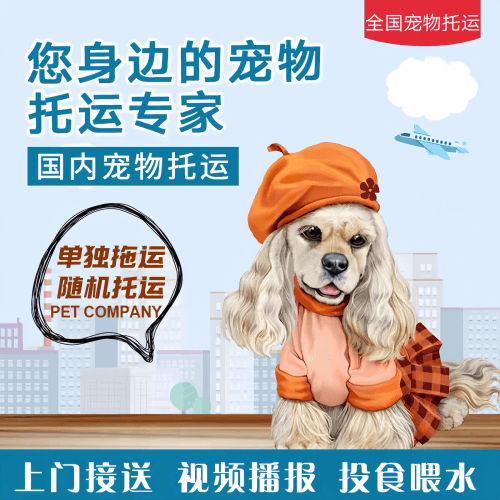 满财运城市宠物全球达宠物托运作为专业的宠物运输代理机构